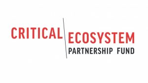 critical-ecosystem-partnership-fund